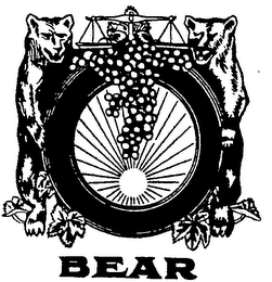 BEAR