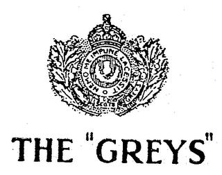THE "GREYS"