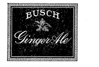 BUSCH GINGER ALE