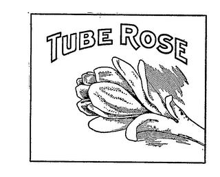 TUBE ROSE