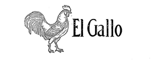 EL GALLO