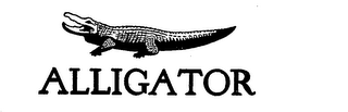 ALLIGATOR 