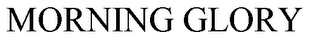 MORNING GLORY