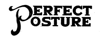 PERFECT POSTURE