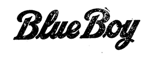 BLUE BOY