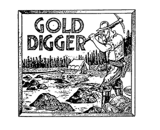 GOLD DIGGER