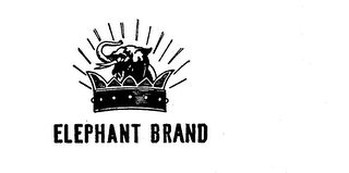 ELEPHANT BRAND