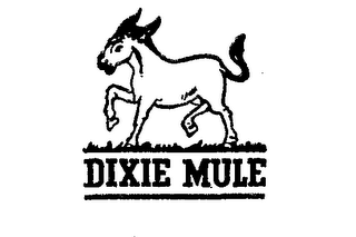 DIXIE MULE