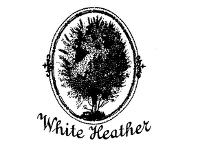 WHITE HEATHER