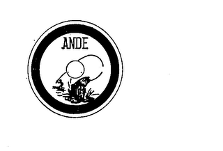 ANDE