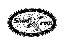 SHED RAIN