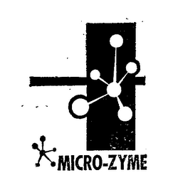 MICRO-ZYME