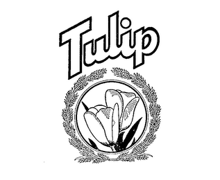 TULIP