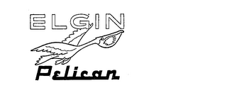 ELGIN PELICAN