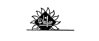 PHIFER