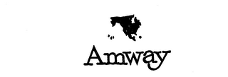 AMWAY