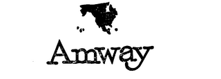 AMWAY