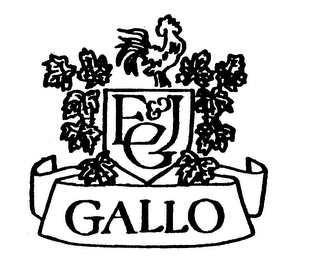E & JG GALLO