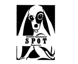 CARPET & UPHOLSTERY SPOT REMOVER