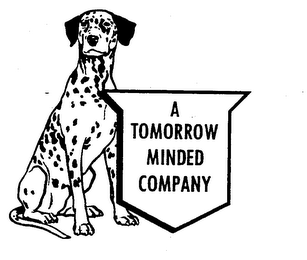 A TOMORROW MINDED COMPANY