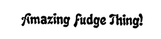 AMAZING FUDGE THING!