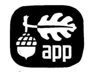 APP
