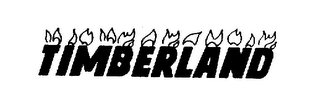 TIMBERLAND
