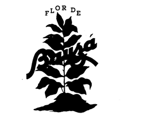 FLOR DE BAUZA