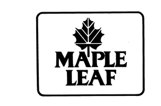 MAPLE LEAF