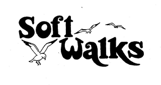 SOFT WALKS