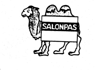 SALONPAS
