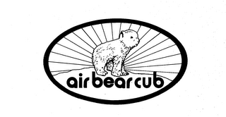 AIR BEAR CUB
