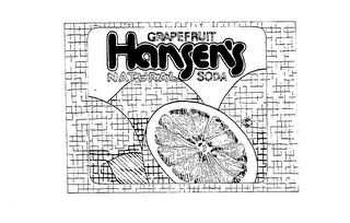 GRAPEFRUIT HANSEN'S NATURAL SODA