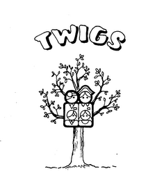 TWIGS
