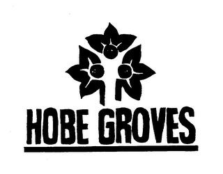HOBE GROVES