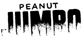 PEANUT JUMBO