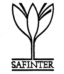 SAFINTER