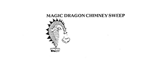 MAGIC DRAGON CHIMNEY SWEEP