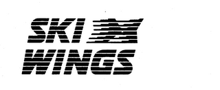 SKI WINGS