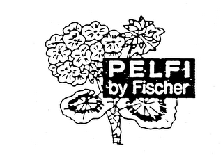 PELFI BY FISCHER