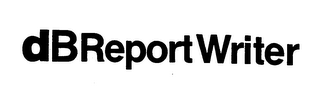 DB REPORT WRITER