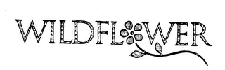 WILDFLOWER