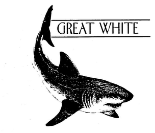GREAT WHITE