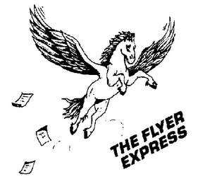 THE FLYER EXPRESS