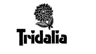 TRIDALIA