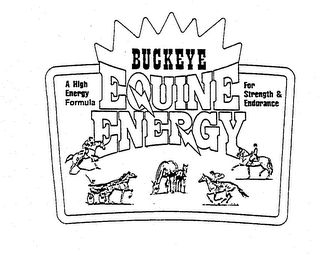 BUCKEYE EQUINE ENERGY A HIGH ENERGY FORMULA FOR STRENGTH & ENDURANCE