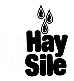 HAY SILE