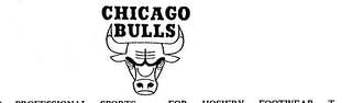 CHICAGO BULLS