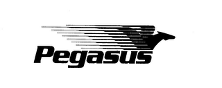 PEGASUS