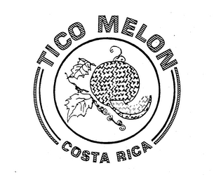 TICO MELON COSTA RICA